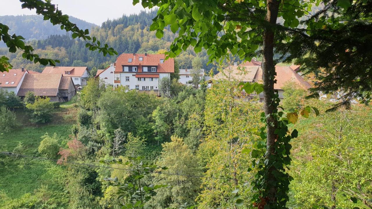 Ferienwohnung Auf Dem Bueckle Kleines Wiesental Εξωτερικό φωτογραφία