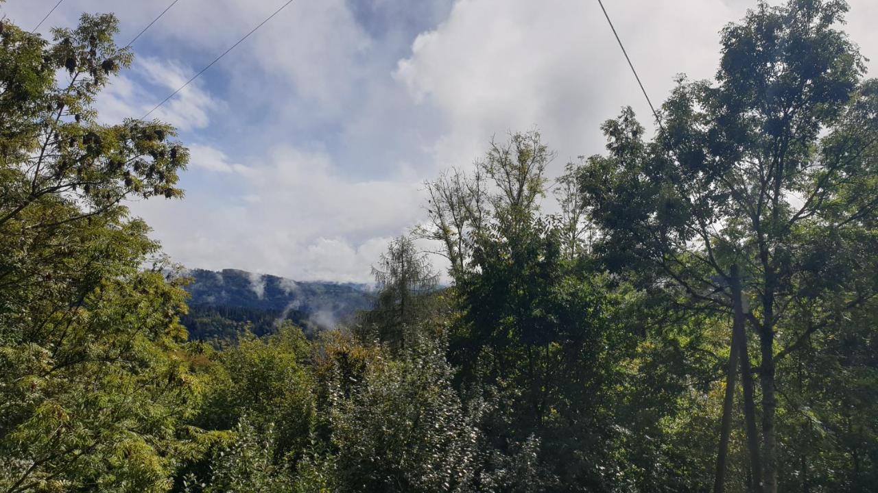 Ferienwohnung Auf Dem Bueckle Kleines Wiesental Εξωτερικό φωτογραφία